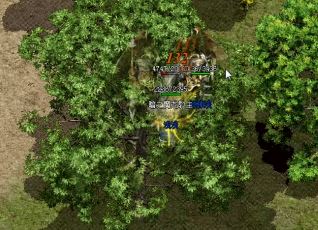 你真的相信这些谣言吗 你真的相信这些谣言吗