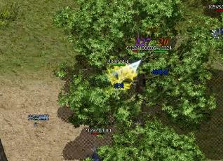 传奇中妹妹之间的战斗是如何进行的? 传奇中妹妹之间的战斗是如何进行的?