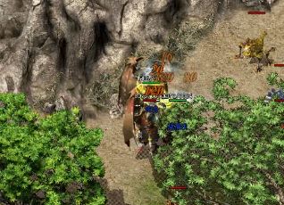 传奇菜鸟道士如何快速成长 传奇菜鸟道士如何快速成长