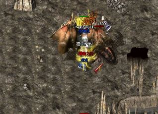 玩家可以采用多种方法来提升抗吸血属性。 玩家可以采用多种方法来提升抗吸血属性。