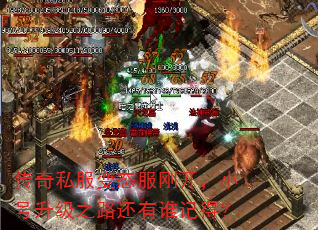 传奇私服变态服刚开,小号升级之路还有谁记得? 传奇私服变态服刚开,小号升级之路还有谁记得?