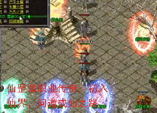 仙罡单职业传奇:初入仙界,问道成仙之路 仙罡单职业传奇:初入仙界,问道成仙之路