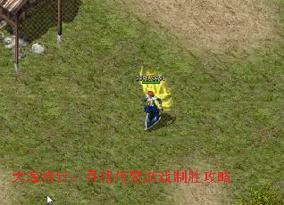 大海捞针:寻找传奇游戏制胜攻略 大海捞针:寻找传奇游戏制胜攻略