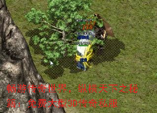 畅游传奇世界,纵横天下之秘籍:免费大型3D传奇私服 畅游传奇世界,纵横天下之秘籍:免费大型3D传奇私服