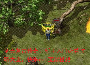 圣天复古传奇:新手入门必看攻略大全,快来get宝藏秘籍 圣天复古传奇:新手入门必看攻略大全,快来get宝藏秘籍