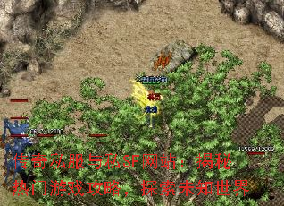 传奇私服与私SF网站:揭秘热门游戏攻略,探索未知世界 传奇私服与私SF网站:揭秘热门游戏攻略,探索未知世界