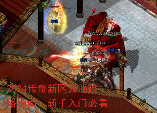 2024传奇新区开服攻略指南:新手入门必看 2024传奇新区开服攻略指南:新手入门必看