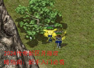 2024传奇新区开服攻略指南:新手入门必看 2024传奇新区开服攻略指南:新手入门必看