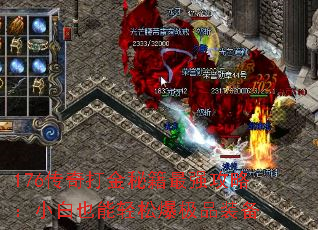 176传奇打金秘籍最强攻略:小白也能轻松爆极品装备 176传奇打金秘籍最强攻略:小白也能轻松爆极品装备