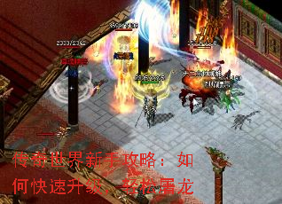 传奇世界新手攻略:如何快速升级,轻松屠龙 传奇世界新手攻略:如何快速升级,轻松屠龙