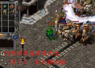 传奇SF开服攻略大全:新手入门到制霸全服 传奇SF开服攻略大全:新手入门到制霸全服