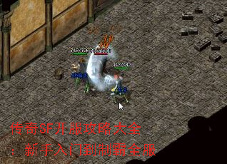 传奇SF开服攻略大全:新手入门到制霸全服 传奇SF开服攻略大全:新手入门到制霸全服