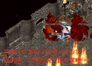 降魔之战单职业驯兽师进阶实战指南:训兽秘诀与进阶策略 降魔之战单职业驯兽师进阶实战指南:训兽秘诀与进阶策略