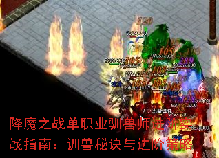 降魔之战单职业驯兽师进阶实战指南:训兽秘诀与进阶策略 降魔之战单职业驯兽师进阶实战指南:训兽秘诀与进阶策略
