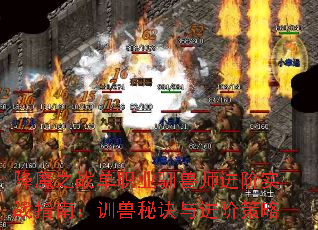 降魔之战单职业驯兽师进阶实战指南:训兽秘诀与进阶策略 降魔之战单职业驯兽师进阶实战指南:训兽秘诀与进阶策略