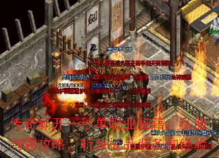 传奇新开一秒单职业秘籍:私服制霸攻略,斩获极品装备和经验 传奇新开一秒单职业秘籍:私服制霸攻略,斩获极品装备和经验