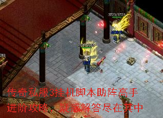 传奇私服3挂机脚本助阵高手进阶攻略,疑惑解答尽在其中 传奇私服3挂机脚本助阵高手进阶攻略,疑惑解答尽在其中