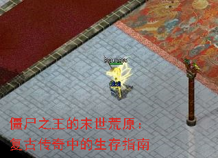 僵尸之王的末世荒原:复古传奇中的生存指南 僵尸之王的末世荒原:复古传奇中的生存指南