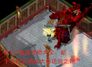 WLK公益服攻略大全:新手小白到满级大神进阶之路 WLK公益服攻略大全:新手小白到满级大神进阶之路