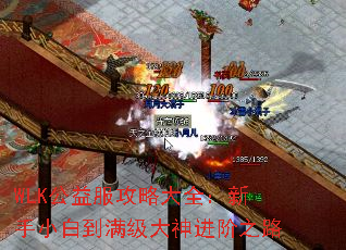 WLK公益服攻略大全:新手小白到满级大神进阶之路 WLK公益服攻略大全:新手小白到满级大神进阶之路