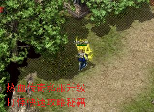 热血传奇私服升级打怪快速攻略秘籍 热血传奇私服升级打怪快速攻略秘籍