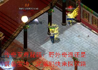 传奇至尊秘籍:野外奇遇还是装备宝地,兄弟们快来探探路 传奇至尊秘籍:野外奇遇还是装备宝地,兄弟们快来探探路