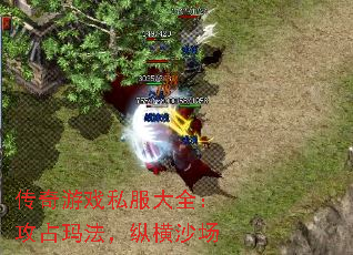 传奇游戏私服大全:攻占玛法,纵横沙场 传奇游戏私服大全:攻占玛法,纵横沙场