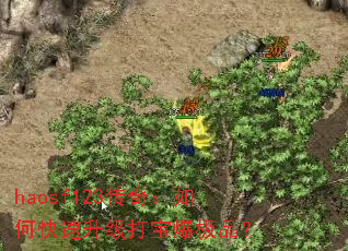 haosf123传奇:如何快速升级打宝爆极品? haosf123传奇:如何快速升级打宝爆极品?