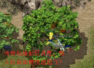 传奇私服新区开荒,散人玩家如何快速起飞? 传奇私服新区开荒,散人玩家如何快速起飞?