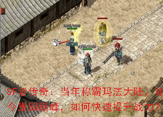 SFϴ棺ư귨½ػ۷壬οս