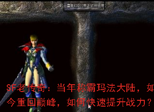 SFϴ棺ư귨½ػ۷壬οս