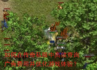 如何在传奇私服中高效查询广告费用并优化游戏体验? 如何在传奇私服中高效查询广告费用并优化游戏体验?