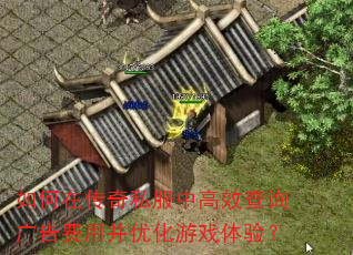 如何在传奇私服中高效查询广告费用并优化游戏体验? 如何在传奇私服中高效查询广告费用并优化游戏体验?
