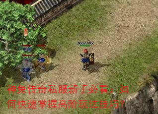 神兔传奇私服新手必看:如何快速掌握高阶玩法技巧? 神兔传奇私服新手必看:如何快速掌握高阶玩法技巧?