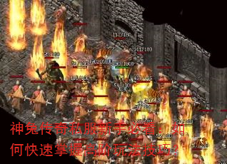 神兔传奇私服新手必看:如何快速掌握高阶玩法技巧? 神兔传奇私服新手必看:如何快速掌握高阶玩法技巧?