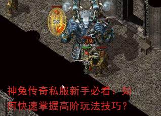 神兔传奇私服新手必看:如何快速掌握高阶玩法技巧? 神兔传奇私服新手必看:如何快速掌握高阶玩法技巧?