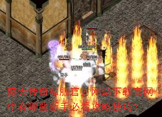 盛大传奇私服官方网站下载官网中有哪些新手必看攻略技巧? 盛大传奇私服官方网站下载官网中有哪些新手必看攻略技巧?