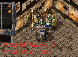 私服变态传奇盒子新手如何快速提升战力等级? 私服变态传奇盒子新手如何快速提升战力等级?