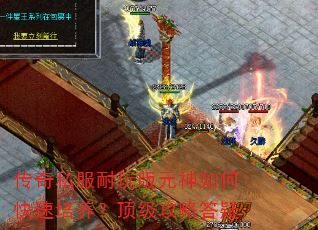 传奇私服耐玩版元神如何快速培养?顶级攻略答疑 传奇私服耐玩版元神如何快速培养?顶级攻略答疑