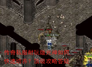 传奇私服耐玩版元神如何快速培养?顶级攻略答疑 传奇私服耐玩版元神如何快速培养?顶级攻略答疑
