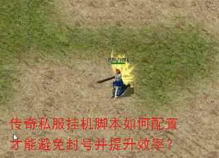 传奇私服挂机脚本如何配置才能避免封号并提升效率? 传奇私服挂机脚本如何配置才能避免封号并提升效率?