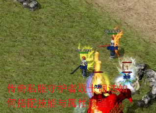 传奇私服守护者战士调法如何搭配技能与属性最强? 传奇私服守护者战士调法如何搭配技能与属性最强?