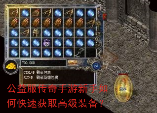 公益服传奇手游新手如何快速获取高级装备? 公益服传奇手游新手如何快速获取高级装备?