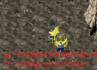 道士召唤麒麟圣兽需要满足哪些条件?技能搭配与实战技巧解析? 道士召唤麒麟圣兽需要满足哪些条件?技能搭配与实战技巧解析?