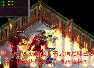 道士召唤麒麟圣兽需要满足哪些条件?技能搭配与实战技巧解析? 道士召唤麒麟圣兽需要满足哪些条件?技能搭配与实战技巧解析?