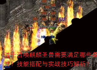 道士召唤麒麟圣兽需要满足哪些条件?技能搭配与实战技巧解析? 道士召唤麒麟圣兽需要满足哪些条件?技能搭配与实战技巧解析?