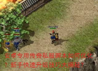 安卓专用传奇私服脚本如何优化?新手快速升级技巧大揭秘? 安卓专用传奇私服脚本如何优化?新手快速升级技巧大揭秘?