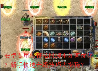 安卓专用传奇私服脚本如何优化?新手快速升级技巧大揭秘? 安卓专用传奇私服脚本如何优化?新手快速升级技巧大揭秘?