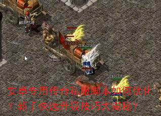 安卓专用传奇私服脚本如何优化?新手快速升级技巧大揭秘? 安卓专用传奇私服脚本如何优化?新手快速升级技巧大揭秘?