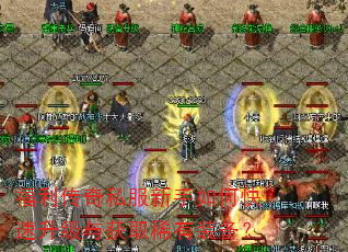 福利传奇私服新手如何快速升级与获取稀有装备? 福利传奇私服新手如何快速升级与获取稀有装备?